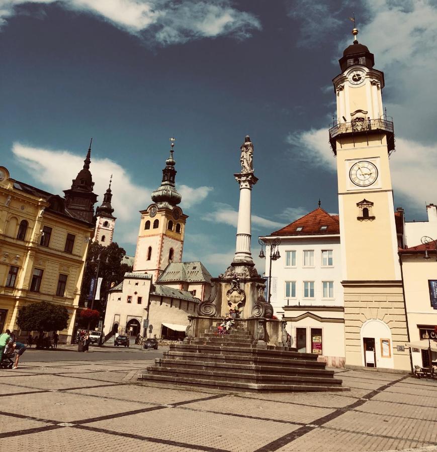 Bl Luxury Apartment, 24Hr Self Check-In, Free Private Garage Parking, Panoramic Views From Balcony, 5 Minute Walk To City Center Banska Bystrica Ngoại thất bức ảnh